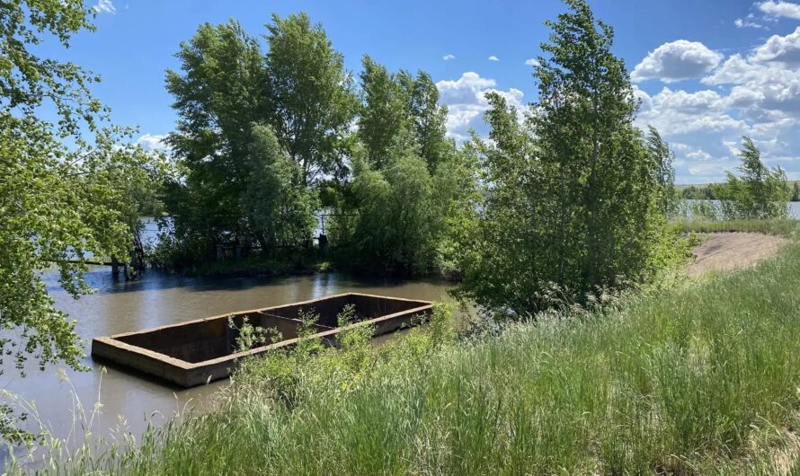 Дамба должна принадлежать государству
