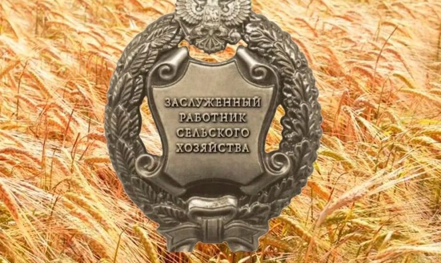 Государственная награда – результат добросовестного труда